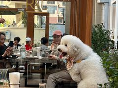 大堂-RAC BAR(安福路店)