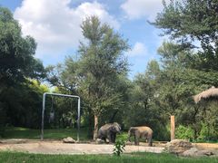 -北京野生动物园