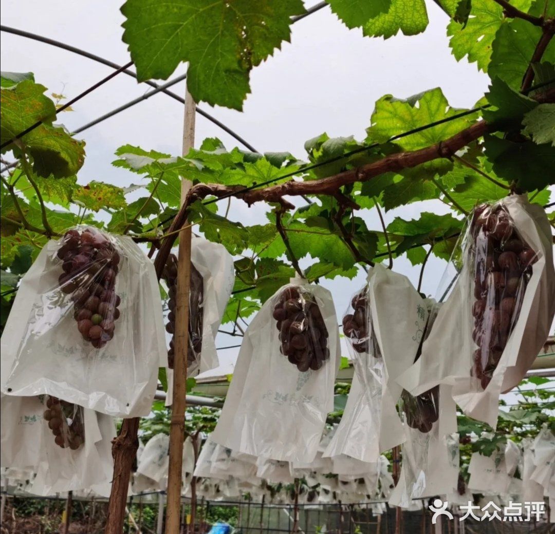 户外的，自然的儿童乐园