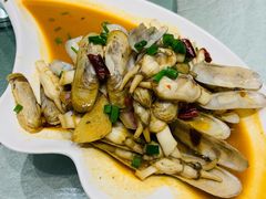 蛏子-华盛丰温州大排档(东三环南路店)