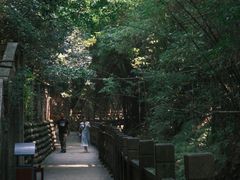 -凤栖山