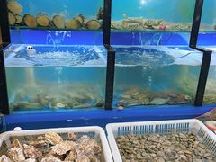 水产区-老东镇啤酒屋海鲜加工·蒸汽海鲜·海鲜烧烤(台东店)