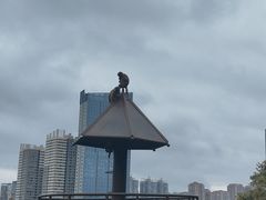 -昆明动物园
