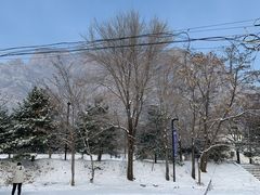 -石京龙滑雪场-停车场