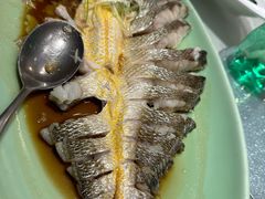 -海派美食·家宴海鲜青岛菜·石锅鲽鱼头(东方城店)