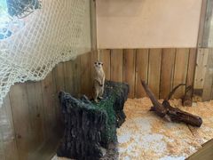 -珠海海泉湾神秘岛亲子乐园