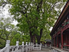 -红螺寺