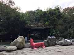 道温泉-青城道汤池