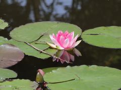 -石塘人家