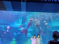 -泉城欧乐堡海洋极地世界