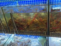 -芭菲盛宴·环球美食(袁家岗店)