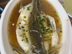 清蒸白水鱼-妈妈的小作坊(陈家镇店)