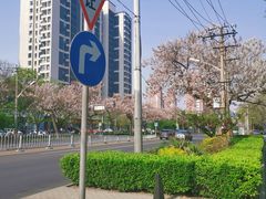 -平乐园(地铁站)