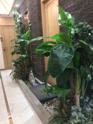 -芳朵美容养生SPA