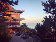 -浩运·海鲜青岛菜·海胆水饺(石老人店)