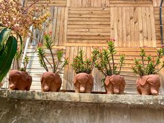 -西双版纳傣族园