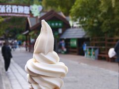 -野象谷景区