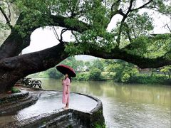 -上坦村