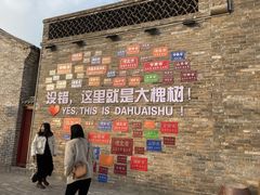 -大槐树寻根祭祖园
