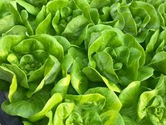 -中国农科院国家农业科技展示园