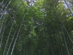 -南山风景名胜区