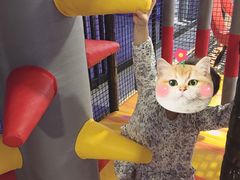 -嗨翻Hi-Fun竞技主题乐园·蹦床亲子生日轰趴(国光1937店)