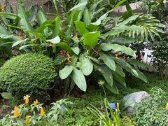 -中国科学院西双版纳热带植物园