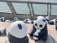 -星光大道