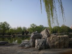 -太阳宫公园