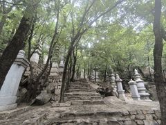 -天津盘山风景名胜区