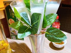 -探窝·竹笙椰子鸡(杨箕店)