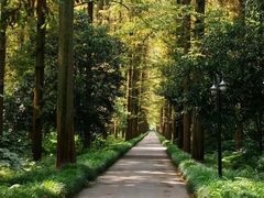 -上海怡沁园度假酒店