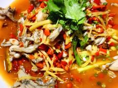 -盐与味葱葱鲫鱼•自贡菜江湖菜(春熙店)