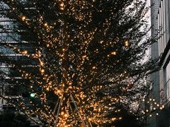 -深圳湾万象城(南山店)