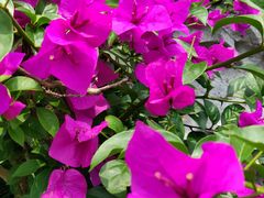 -浙江西子宾馆·瑶园咖啡厅