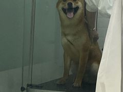 -福州肆爪动物医院