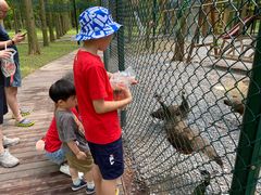 -黄海国家森林公园