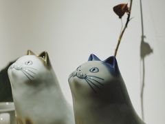 -猫里有甜