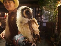 -清迈夜间动物园