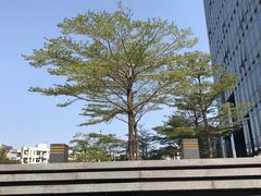 -原牛道·潮汕围炉火锅(讯美店)