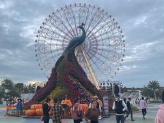 -七彩云南欢乐世界