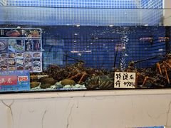 -益利大酒楼(井岸店)