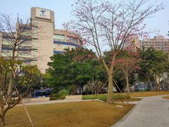 景点-广州七星岗古海岸遗址科学公园