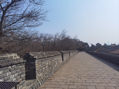 -北陵公园