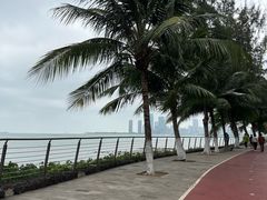 -万绿园