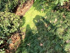 -浙江省博物馆(孤山馆区)