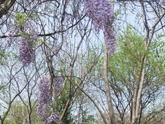 -盘龙城国家考古遗址公园