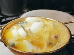 -Darling Queen·Mini·Live·House