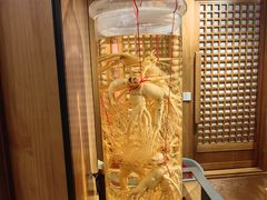 -长寿参鸡汤(朝韩风情街店)