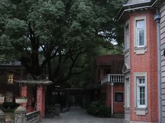 -上海瑞金洲际酒店